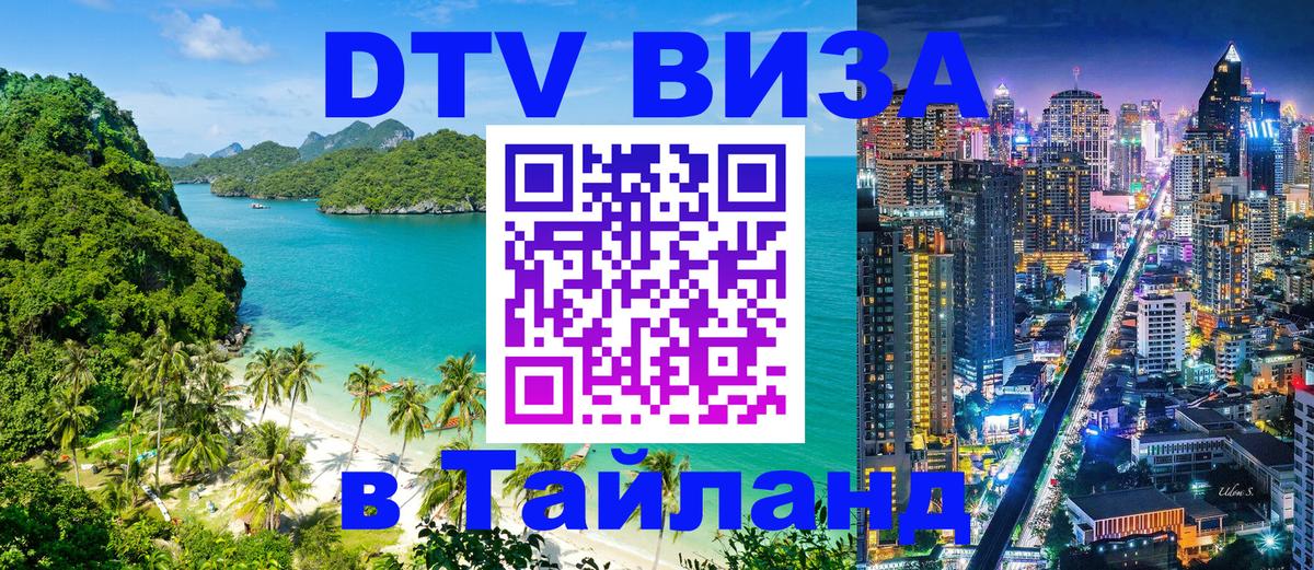 Сколько стоит DTV виза — актуальные цены, оформление даже без документов - Новосибирск  04.12.2025 